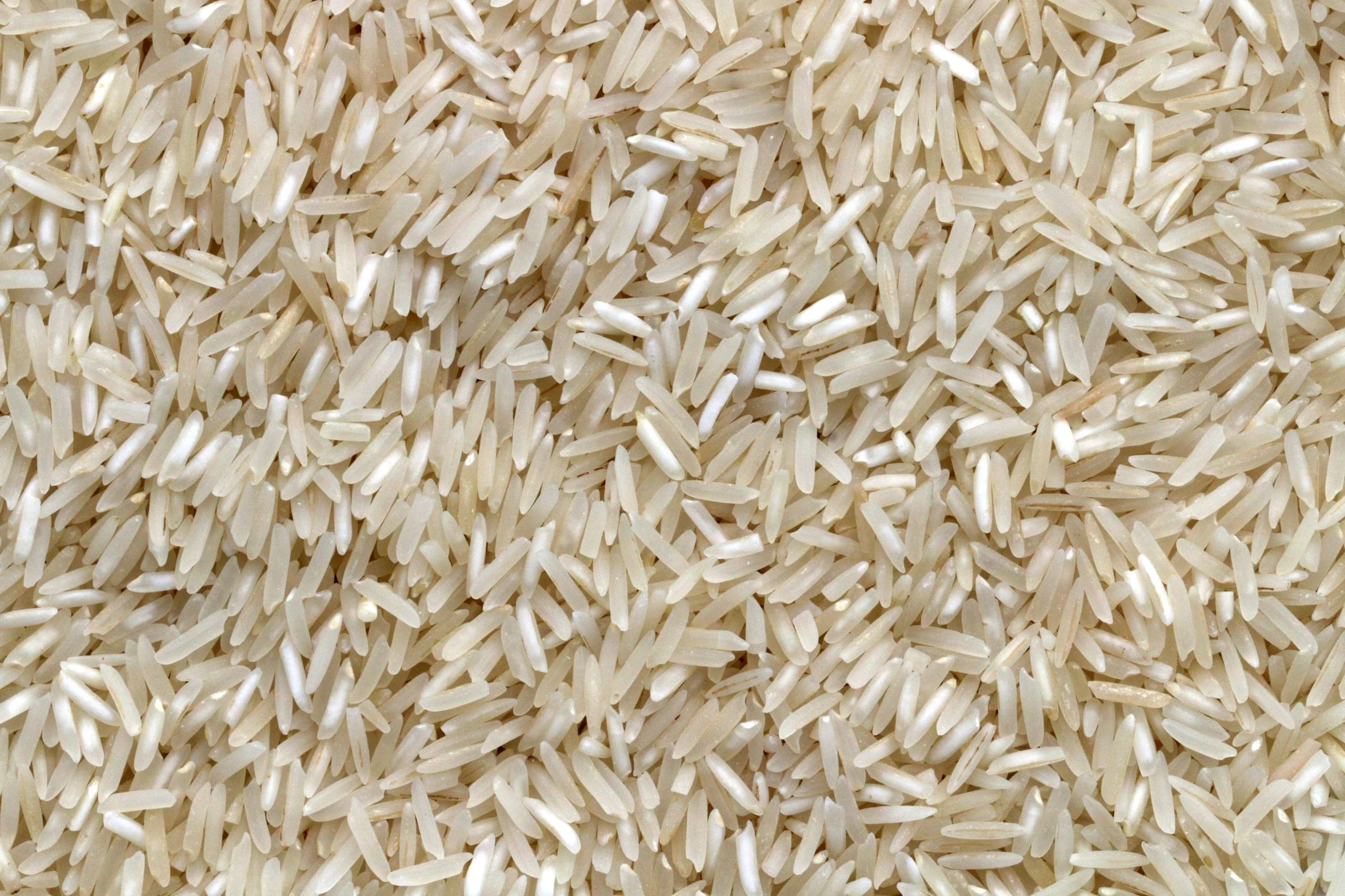 Close-up of uncooked long-grain white rice